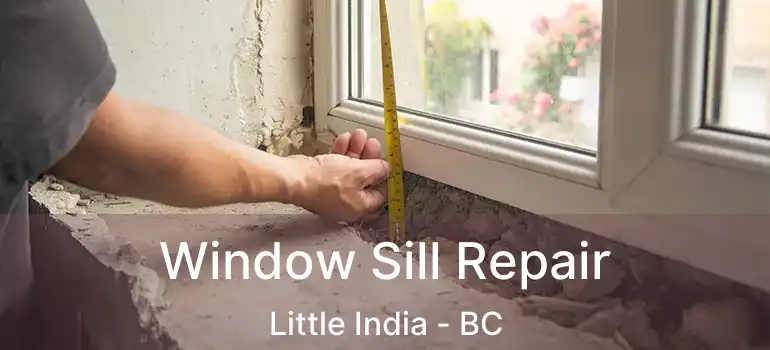  Window Sill Repair Little India - BC