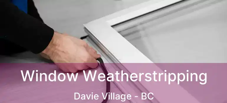  Window Weatherstripping Davie Village - BC
