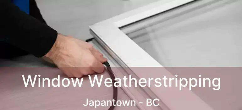  Window Weatherstripping Japantown - BC