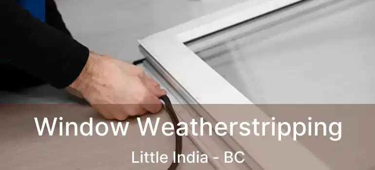  Window Weatherstripping Little India - BC