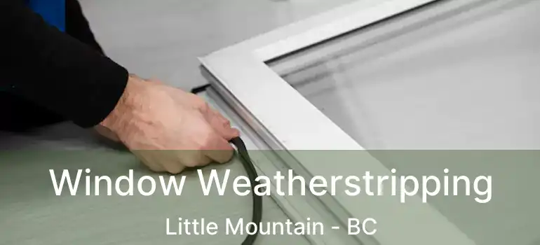  Window Weatherstripping Little Mountain - BC