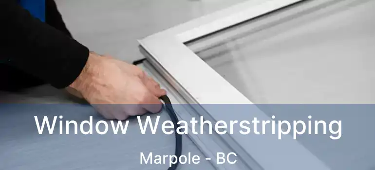  Window Weatherstripping Marpole - BC