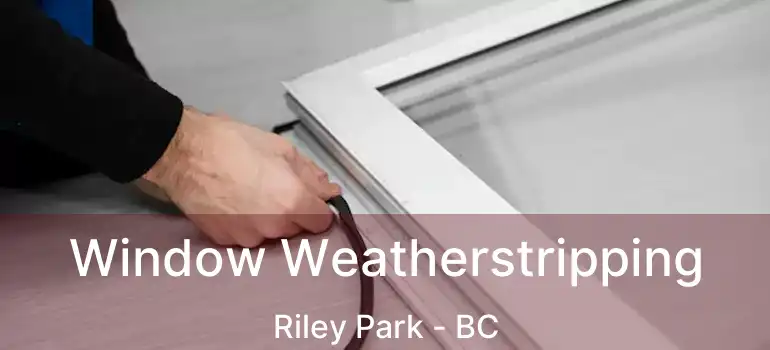  Window Weatherstripping Riley Park - BC
