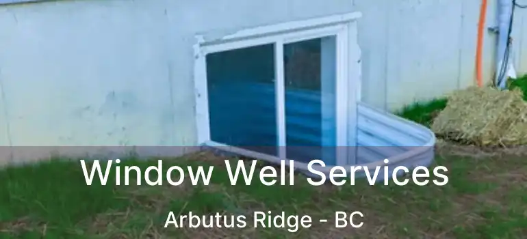  Window Well Services Arbutus Ridge - BC