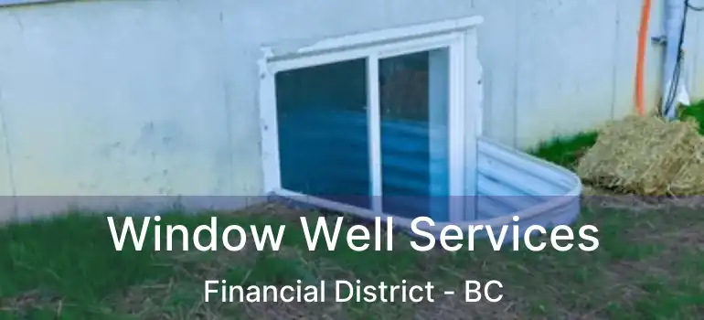  Window Well Services Financial District - BC