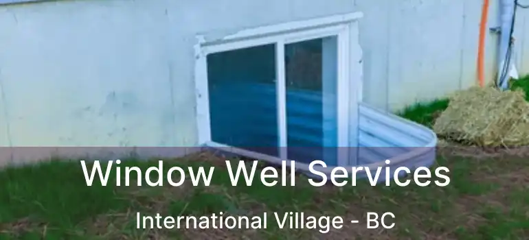  Window Well Services International Village - BC