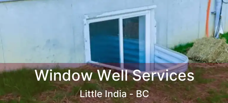  Window Well Services Little India - BC
