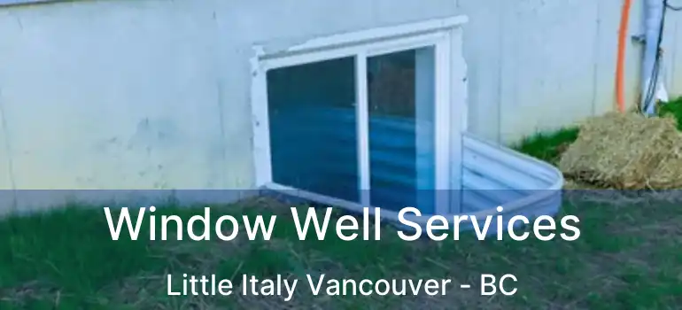  Window Well Services Little Italy Vancouver - BC
