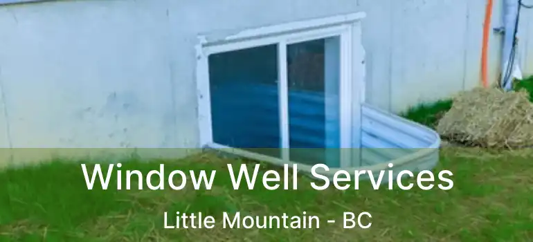  Window Well Services Little Mountain - BC