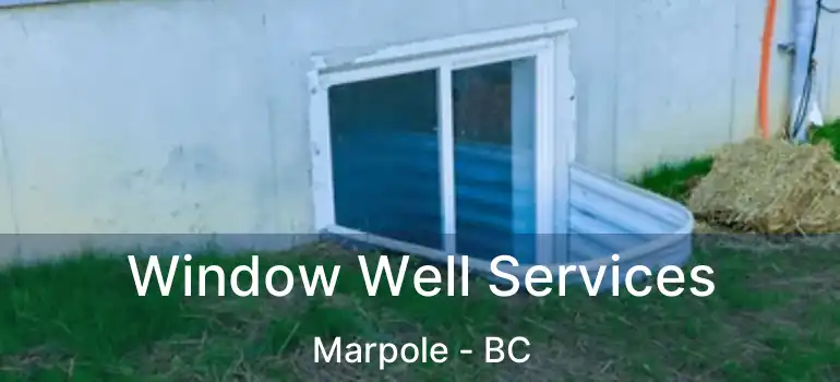  Window Well Services Marpole - BC