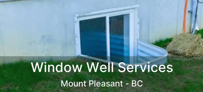  Window Well Services Mount Pleasant - BC