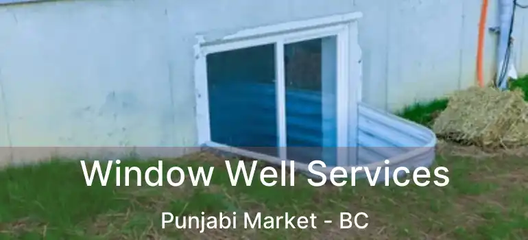  Window Well Services Punjabi Market - BC