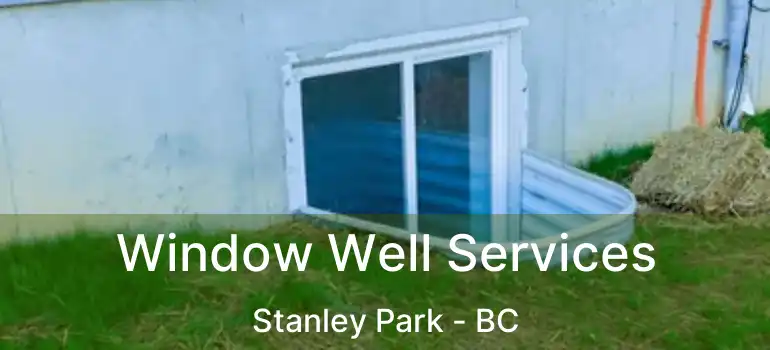  Window Well Services Stanley Park - BC