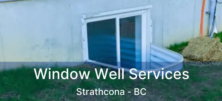  Window Well Services Strathcona - BC