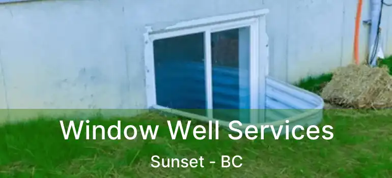  Window Well Services Sunset - BC